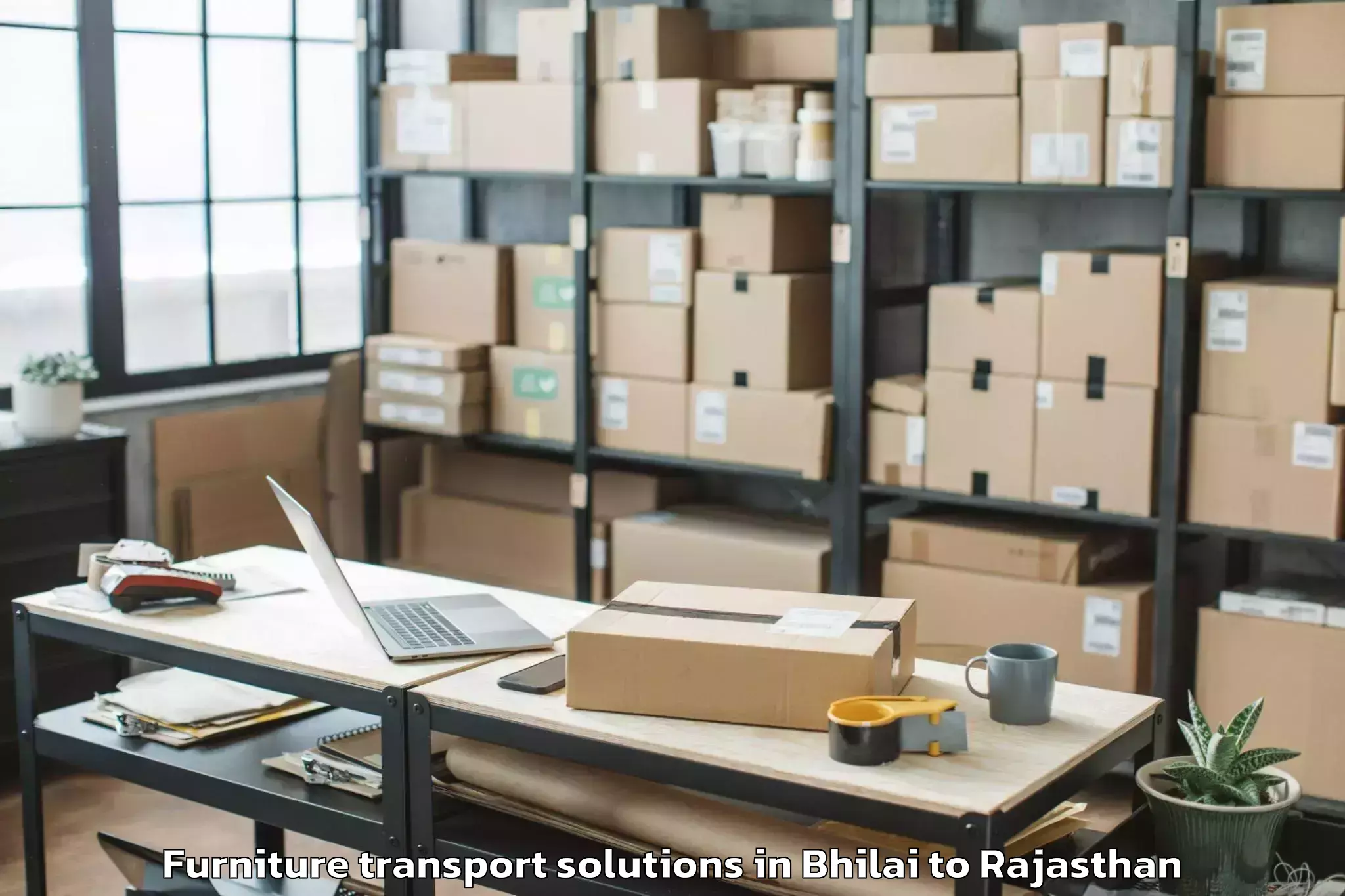 Discover Bhilai to Kankroli Furniture Transport Solutions